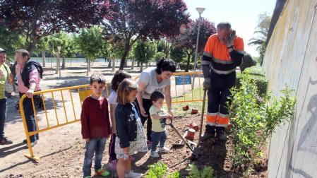 Tudela celebrará el día del árbol este domingo