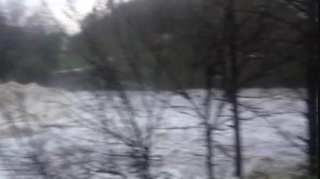 El Arga a su paso por Huarte