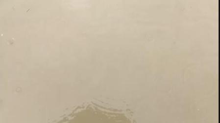 Las huertas de Martiket, entre Villava y Huarte, inundadas