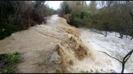 El Cidacos, a su paso por Barásoain
