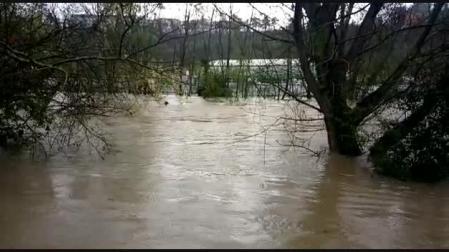 El río Arga, a la altura del CD Amaya.
