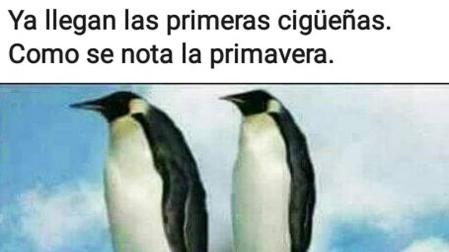 Estampas graciosas haciendo alusión al temporal de lluvia que afectó a la Comunidad foral del 10 al 14 de abril.