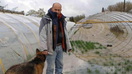 Más de 7.000 lechugas perdidas en Frutas y Verduras Zabalza