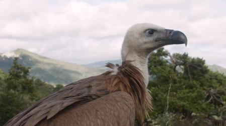 Un cortometraje sobre el paisaje tras el embalse de Itoiz, en un festival suizo