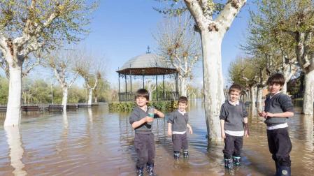 Expectación y daños por la riada en Tudela: testimonios de los vecinos