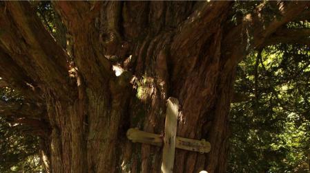 El naturalista de Urbasa Ignacio Abella cuenta cómo los árboles explican el clima