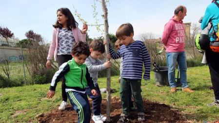 Tudela celebró una nueva edición de la Fiesta del Árbol, con la tradicional plantación de 20 árboles de 3 especies junto a la zona deportiva y cerca del antiguo silo.