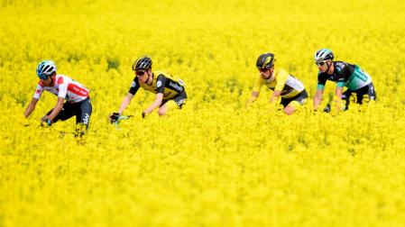 Roglic se lleva el Tour de Romandía; Ackermann, la última etapa