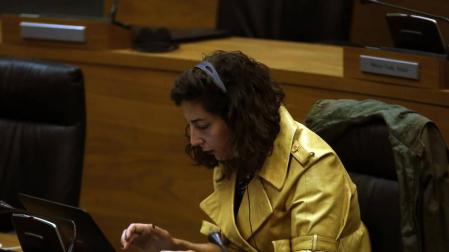 Podemos nacional echa a Pérez y le exige su escaño pero ella no lo deja