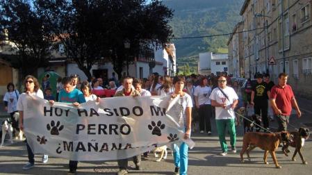 Alsasua recupera el servicio de recogida de animales abandonados