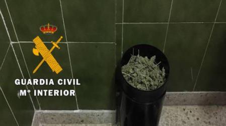 Intervienen 200 gramos de speed y otras drogas en Alsasua, Arguedas y Olave