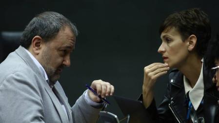 El Parlamento debatirá si las bajas por maternidad quedan exentas
