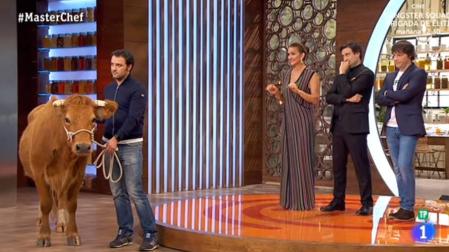 'MasterChef' cabrea a los fans al hablar de cómo descuartizar una vaca viva