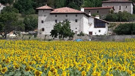 Se vende el palacio de Cabo de Armería de Ochovi