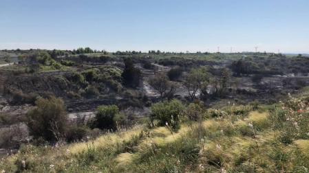 Un incendio calcina diez hectáreas en Mélida