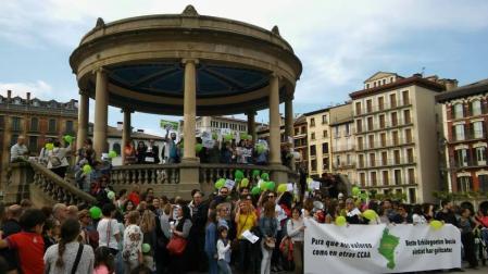 Manifestación de profesores interinos en Navarra