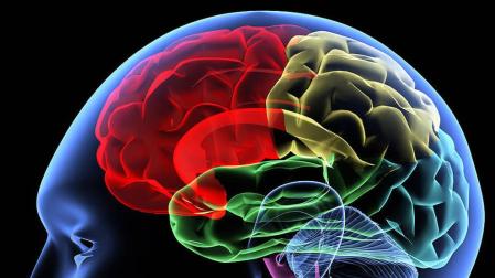 Las emociones que procesa el cerebro de forma inconsciente influyen al tomar decisiones