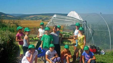 La fórmula más demandada en estos campamentos es: deportes, naturaleza e inglés