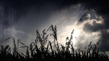 Lunes con tormentas intensas por la tarde en Navarra en una semana de bochorno