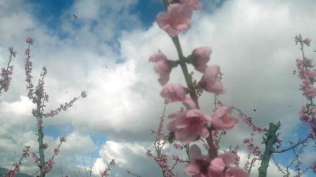 Envíanos la imagen por Whatsapp al número 687 04 00 98, indicando el lugar en el que están realizadas y el autor de las fotografías.