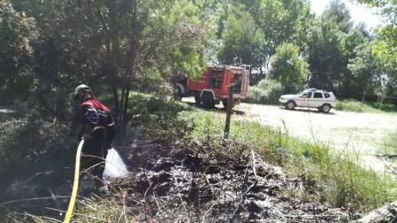 La quema de pelusa de chopo causa dos pequeños incendios en Navarra