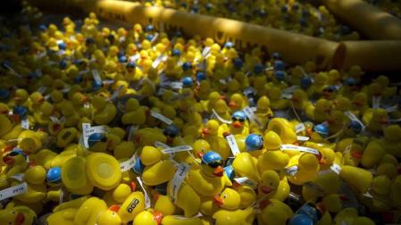 Una carrera de patitos de goma ha recorrido el río Arga en beneficio de la investigación de enfermedades neurodegenerativas