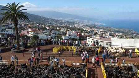 La Guardia Civil investiga la muerte de un bebé de cinco meses en Tenerife