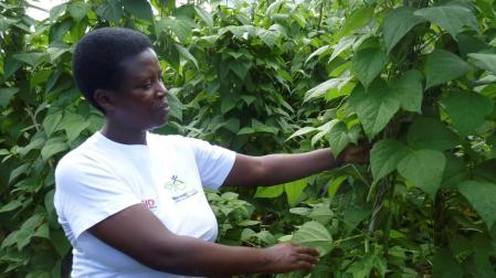 Africanas emprendedoras en el campo buscan salir de la pobreza gestionando su tierra