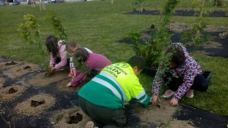 Pamplona inicia una actuación para proteger orquídeas y otras plantas en zonas verdes