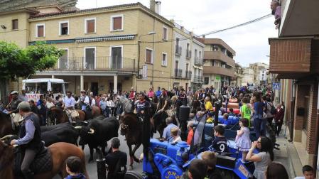 Caparroso se transforma con la trashumancia y degustaciones