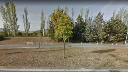 Un gran árbol cae en la avenida de Navarra y lesiona al trabajador que lo talaba