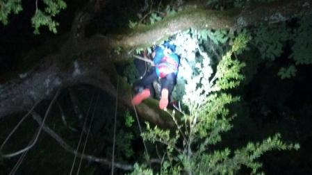 “Estoy colgado en un árbol”