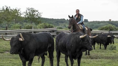 José Antonio Baigorri, ganadero de Pincha, relata su aventura con el toro bravo con la mente puesta en su debut en la novillada de San Fermín: “Estamos viviendo algo único"
