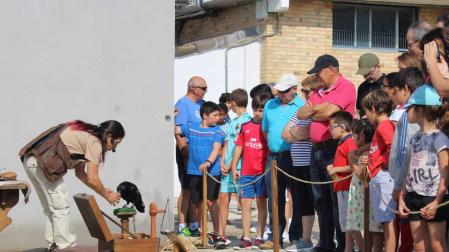 Arróniz acoge la quinta edición de la fiesta del cazador navarro