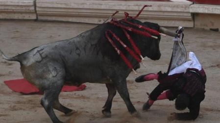 Los astados de Escolar llevan el peligro por la tarde a la plaza de toros