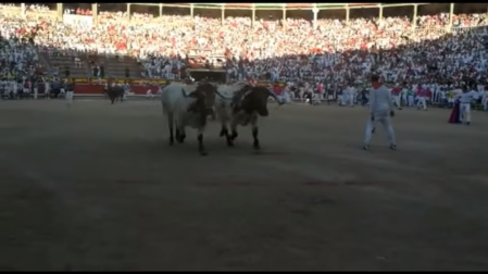 Sancionado con 600 € un corredor irlandés por llamar la atención de los toros