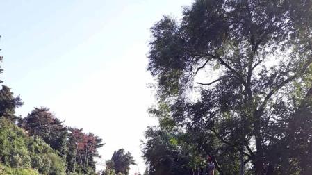 Un árbol caído ha obligado este martes por la tarde a cerrar al tráfico la cuesta de Beloso, en sentido Pamplona, según ha informado la Policía Municipal. Al lugar han acudido tanto agentes de la Policía Municipal como efectivos de Bomberos. Han realizado labores de saneo para tratar de desocupar la vía lo antes posible. Las ramas caídas ocupaban los dos carriles en dirección a Pamplona.
