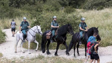 Un tercio de las infracciones contra el medio ambiente acaban en multa