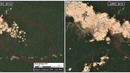 Mineros deforestan 1.700 hectáreas de la Amazonía peruana entre enero y junio