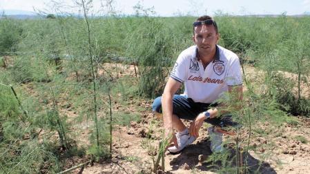 Las tormentas causan daños en cultivos y viviendas de Tierra Estella