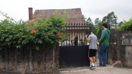 Muere otro anciano tras la picadura de avispas asiáticas en O Porriño (Pontevedra)
