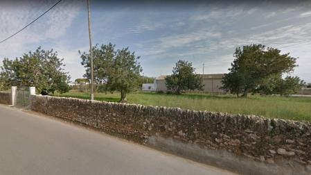 Guardia Civil interviene 397 perros de raza en criadero ilegal en Castellón