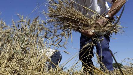 El Día del Mundo Rural en Miranda de Arga es una celebración que rinde homenaje a los oficios que hace medio siglo suponían la forma de vida de las gentes de la localidad.