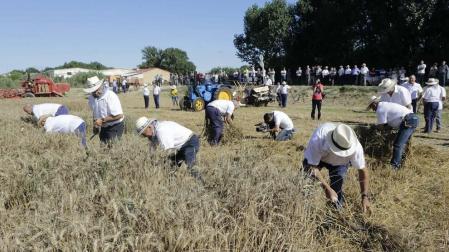 Mundo rural 'vintage' en Miranda de Arga