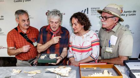 Hallan en Atapuerca restos de una homínida adolescente de más de 300.000 años