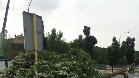 Las fuertes rachas de viento este miércoles por la tarde, que llegaron hasta los 70-80 kilómetros por hora, provocaron la caída de ocho árboles en distintas zonas de la ciudad, causando únicamente daños materiales en vehículos estacionados en la calle y en mobiliario urbano.