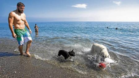 Perros en una playa de Motril.