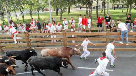 Fotos del encierro y la gigantada del quinto día de las fiestas de Tudela 2018, 28 de julio.