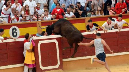 Las reses bravas dejan en la suelta de vaquillas del último día de fiestas de Tudela, 29 de julio, varios heridos.