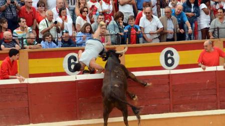 Las reses bravas dejan en la suelta de vaquillas del último día de fiestas de Tudela, 29 de julio, varios heridos.